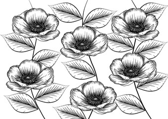 black and white pattern with flowers