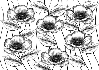 pattern with poppy flowers