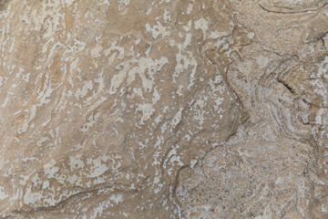 Texture of stone cliff on the sea coast