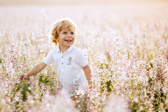 Happy Little Boy With Blonde Curly Hair In Pink Sage Field Smiling, Sunny Day, Outdoors. Child Running On Meadow In Summer In Nature. Kid With Straw Hat Playing In Wild Flowers Field At Sunset.