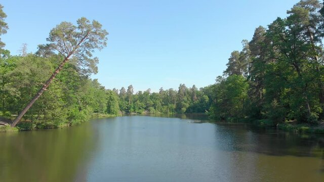 Lake in forest over water flying drone view green tree over water forward push in camera movement