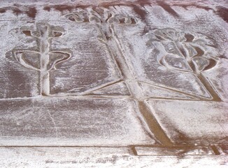 Salt outcrop at the Paracas Candelabra after a rear rainfall (Ica Peru)