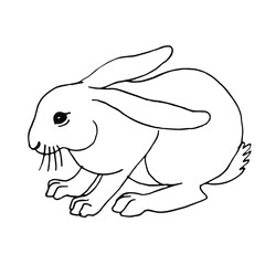 Hand drawn doodle vector of bunny. Black and white line art stock illustration.