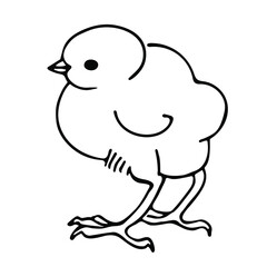 Hand drawn vector illustration of chicken. Black and white art isolated on white.