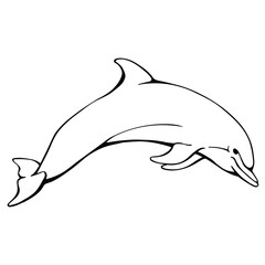 Hand drawn vector of dolphin isolated on white background. Black and white stock illustration.