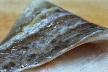 Codfish.