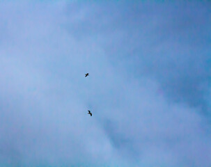 blue sky 