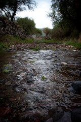 Arrollo en el estado de guanajuato