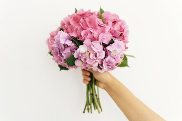 Fototapeta Hydrangea bouquet in woman hand on background of white wall. Hand holding pink and purple hydrangea flowers. Happy mothers day or womens day. Wedding floristics obraz