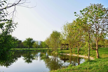 Clear lake in the park with a little hut 