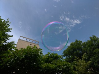 soap bubbles in the sky
