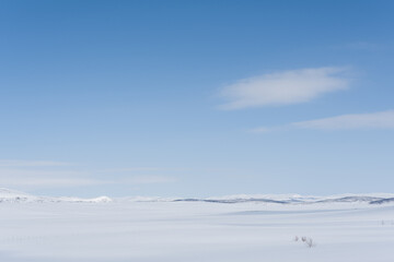winter landscape with snow