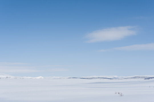 winter landscape with snow