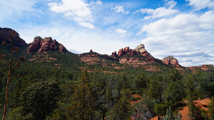 Naklejka premium A view of some of Sedona's incredible red rock formations from the Soldiers Pass Hike.