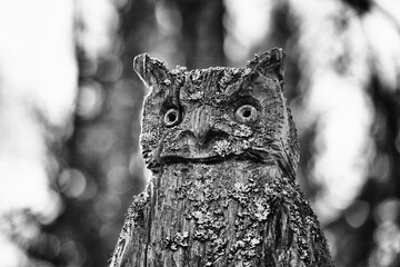 The man made wooden owl sculpture transformed by the age and nature.