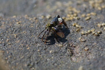 Caminando hacia el frente