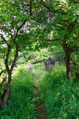 Old jewish cemetery