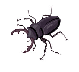 Black insect stag beetle. Drawing isolated on a white background. Stock vector illustration.