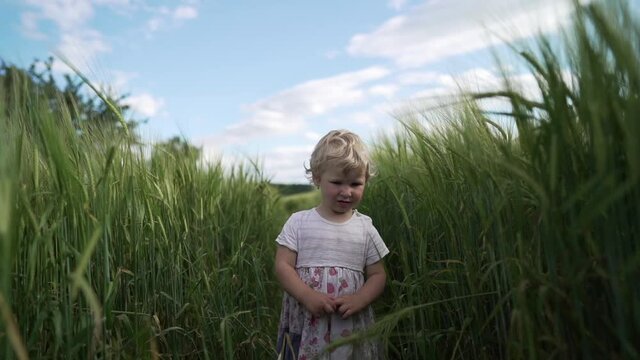 Baby girl walking in wheet