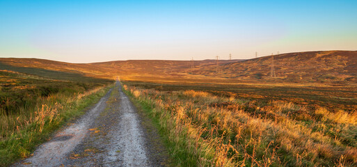 Untimely autumn. A third, chilly wind hunts in spite of the ghost.