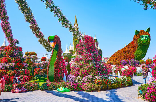 Walk among petunias, Miracle Garden, on March 5, 2020 in Dubai, UAE