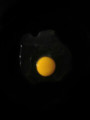 egg on black background