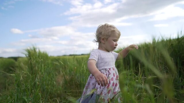Baby girl walking in wheet