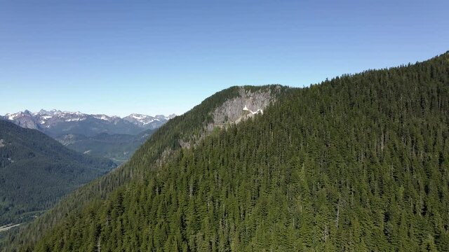 Thick Evergreen Forest Aerial Over Mountain Ridge