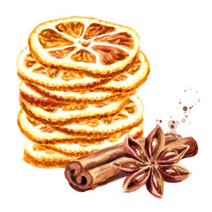 Dried orange slices, star anise and cinnamon stick. Christmas spicies. Hand drawn watercolor illustration isolated on white background