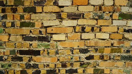 Background: a fragment of a wall made of light yellow brick with remnants of green and brown paint on some of them.