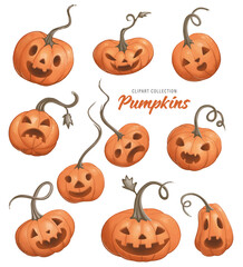 Pumpkins, Halloween, thanksgiving clip art set isolated on white background