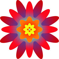 fabulous red flower with various shades of color