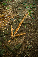 Nature Symbol Arrow Sticks