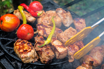 Meat skewered and vegetables on grill grate. Cooking hot tasty kebab, pepper and tomatoes vith smoke. Cook take meat by tong.
