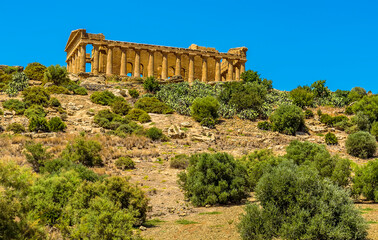 Fototapeta premium A view from the base of ridge looking up at the Temple of Concordia in the ancient Sicilian city of Agrigento in summer
