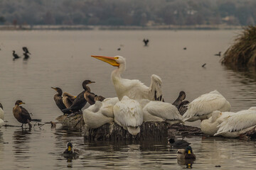 White Rock Lake. Dallas, Texas.