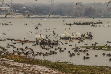 White Rock Lake. Dallas, Texas.