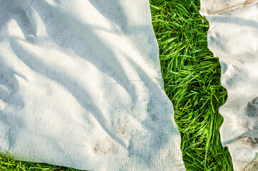 A canvas of white geotextile lies on the green grass outside