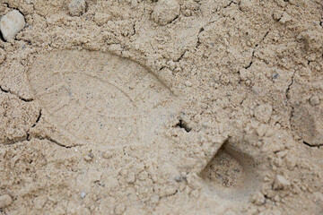 Collecting footprint on crime scene. Footprint of criminal.
