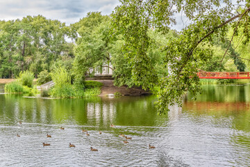 Obraz premium Suspension bridge and ducks on the pond, Russia, Yekaterinburg