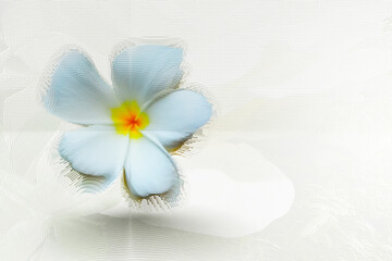 Abstract white flowers are fabricated with computer program background.