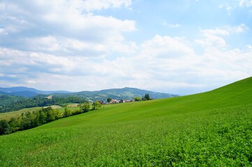 Hilly landscape with the green fields on the blue sky background.