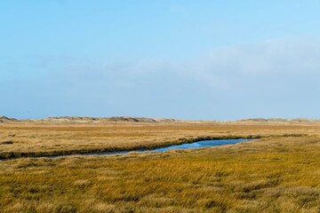 Fototapeta premium Küstenlandschaft St. Peter-Ording
