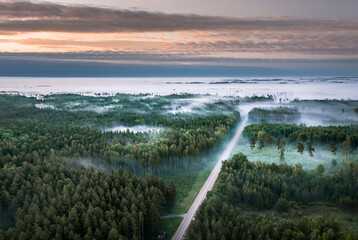 Aerial view of forest at twilight covered in fog.  Impressive light rays going through the tree tops.  