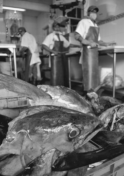 La Viga Market, Mexico City / Mexico Dec 2009 
La Nueva Viga Market is the largest seafood market in Mexico and the second largest in the world