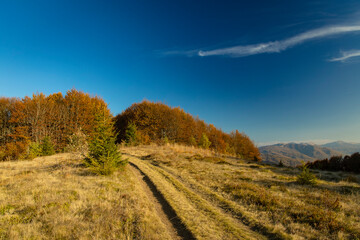 autumn mountain landscape scenic view brown forest foliage and dirt trail in highland meadow September time