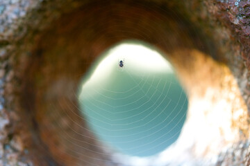 A small spider on a web in a hole in granite. Selective focus.