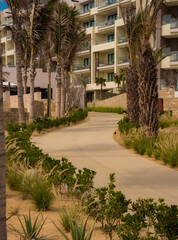 Fototapeta premium Los Cabos / Mexico - Aug 06 2019 Cabo San Lucas is a resort city at the southern tip of the Baja California Peninsula, in the Mexican state of Baja California Sur.