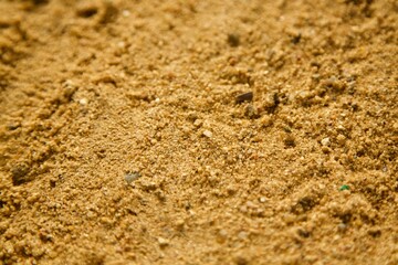 A close up of a dirt field