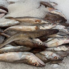 fresh fish on ice